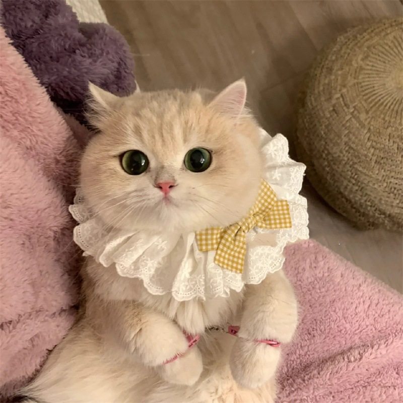 薄荷同款猫咪围脖公主猫围兜宠物领结项圈金渐层德文狗狗口水领巾,宠物/宠物食品及用品,猫牵引绳,淘宝优惠券,粉丝福利购,淘宝优惠卷