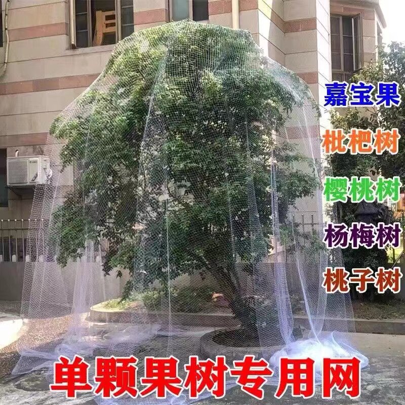 果树防鸟网罩嘉宝果枇杷樱桃蓝莓果园防鸟罩养殖菜地阳台防鸟网罩图片