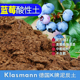 蓝莓营养土进口德国大汉泥炭933基质兰花松鳞基质用土蓝莓树果苗