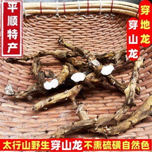 穿山龙 山西太行山野生穿山龙穿地龙正品天然无硫新货串地龙泡酒