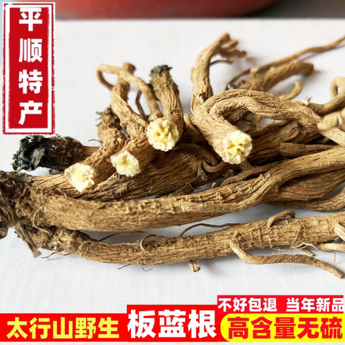 平顺板蓝根仿野生中药材散装