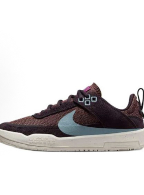 NIKE/耐克男女款/大童SB DAY ONE新款百搭低帮运动板鞋FN4210-600