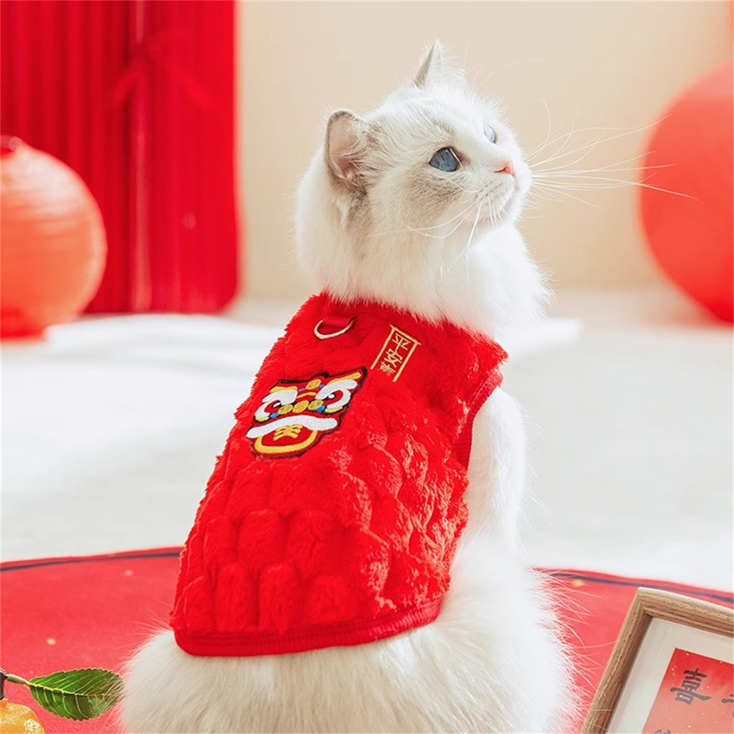 宠物猫咪衣服冬季保暖加绒布偶金渐层狗狗红色过年喜庆醒狮新年装