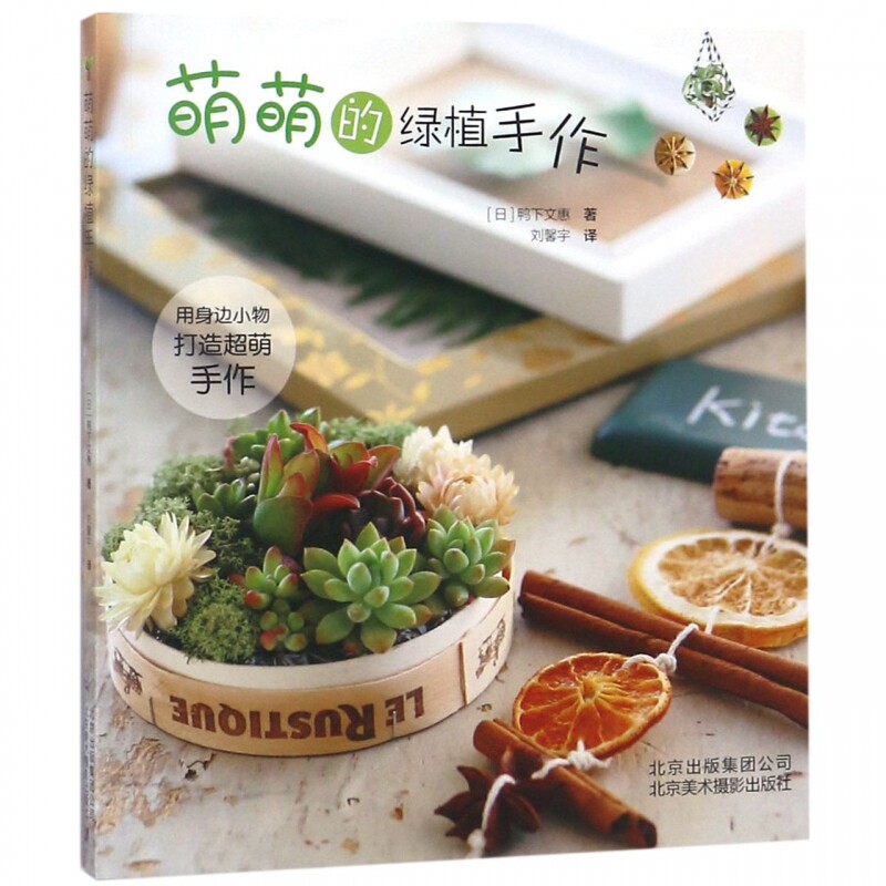 萌萌的绿植手作(15分钟搞定zakka风家装小物,和家人一起享受温馨手作