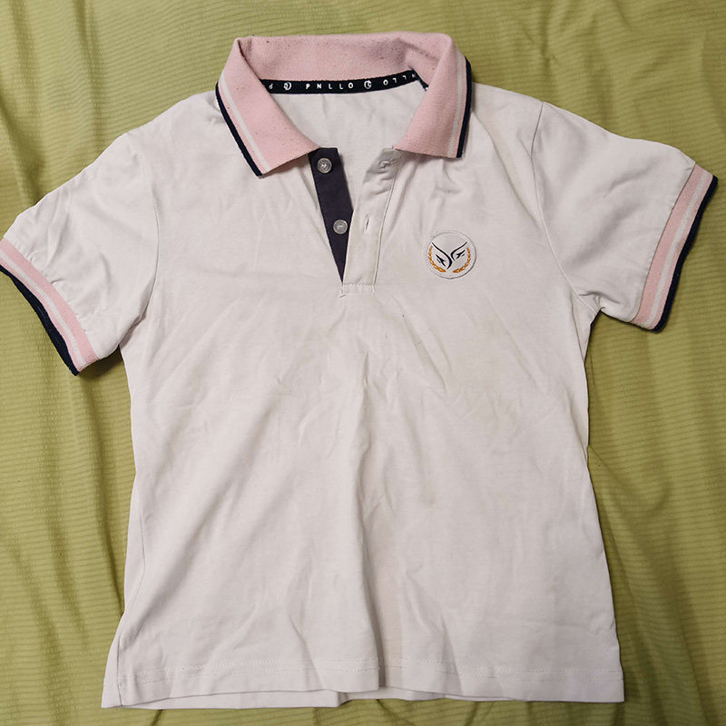 白色polo衫翻领小学生校服上海共富实验学校校服同款来图定做