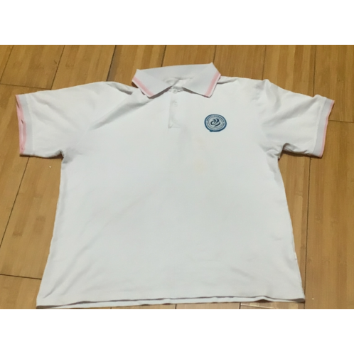 中小学校校服来图片定制磁湖中学同款短袖校服定制