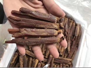 吉林集安无糖边条参500克6年根30支长白山高丽参红参整枝园参人参