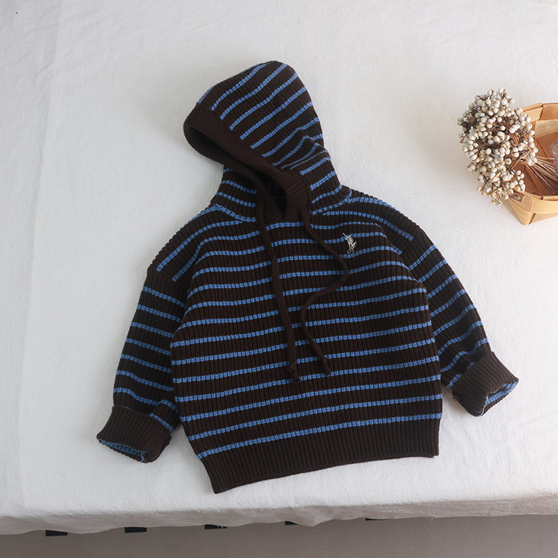 宝宝毛衣春秋款男童休闲秋季连帽