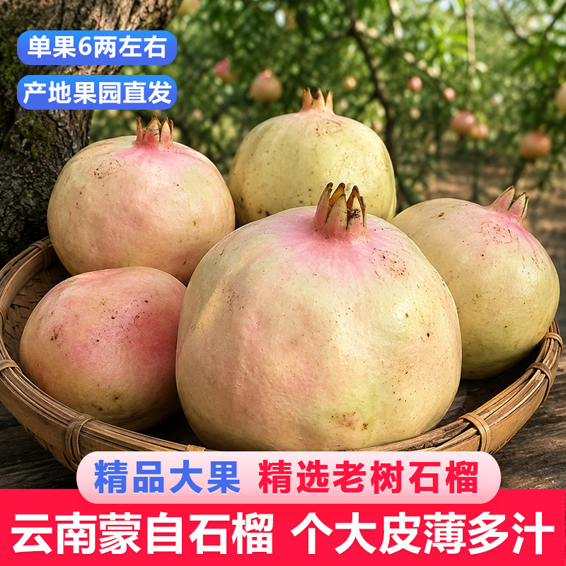蒙自石榴大果专注石榴的10年老店