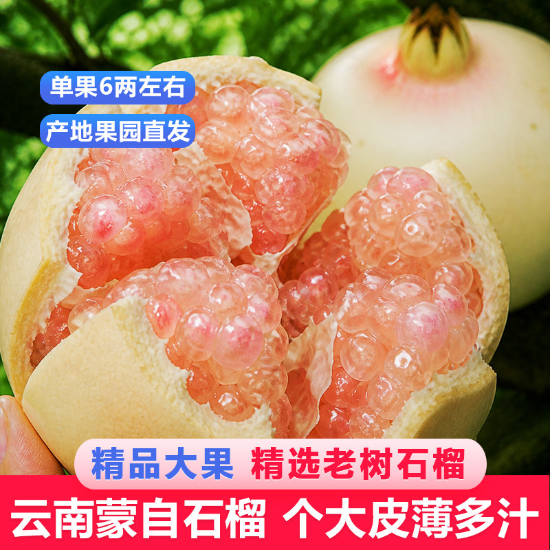蒙自石榴大果专注石榴的10年老店