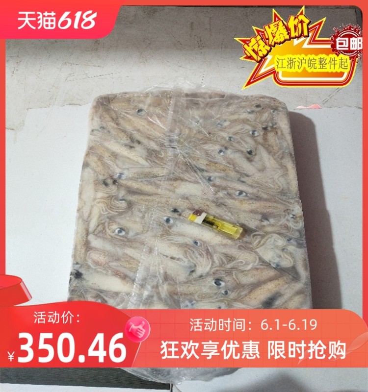 新鲜新款-18℃海兔子笔管鱼鲜活籽乌小鱿鱼八爪鱼墨鱼小海猫鱼 冷