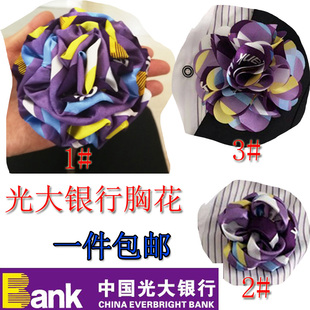 中国光大银行胸花总行服务员头花营业厅工作人员胸针窗口接待丝巾