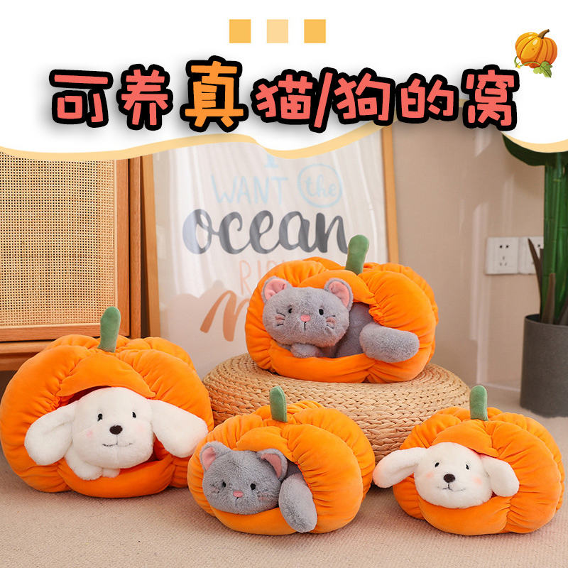 可以养真狗/猫的小窝南瓜抱枕