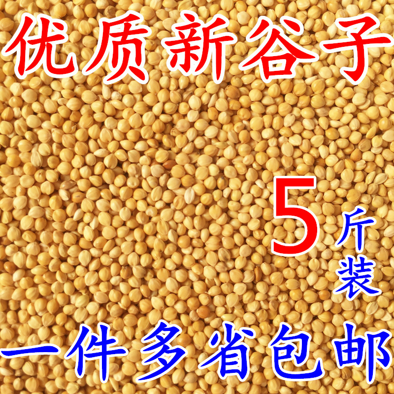 鹦鹉粮/带壳黄谷子/鸟粮鸟食饲料/虎皮牡丹玄风横班有壳谷子小米图片