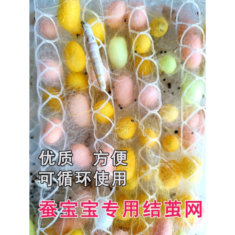 蚕宝宝吐丝结茧网格专用结茧簇网大小网片10年质保养蚕工具套装