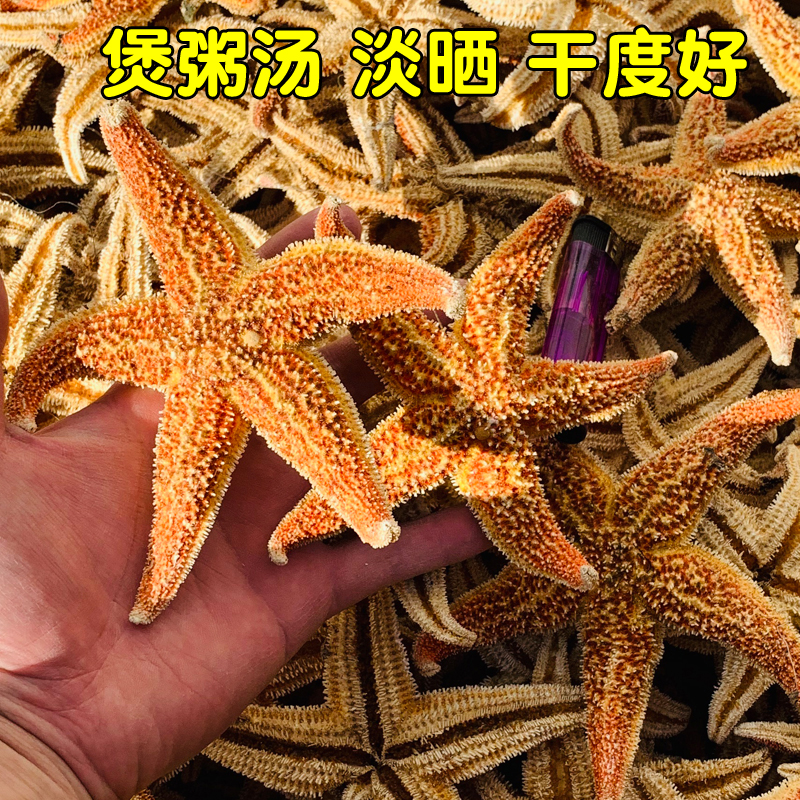 10斤海星干海鲜干货泡酒料淡干不加盐煲汤养生干度好商用整箱散装