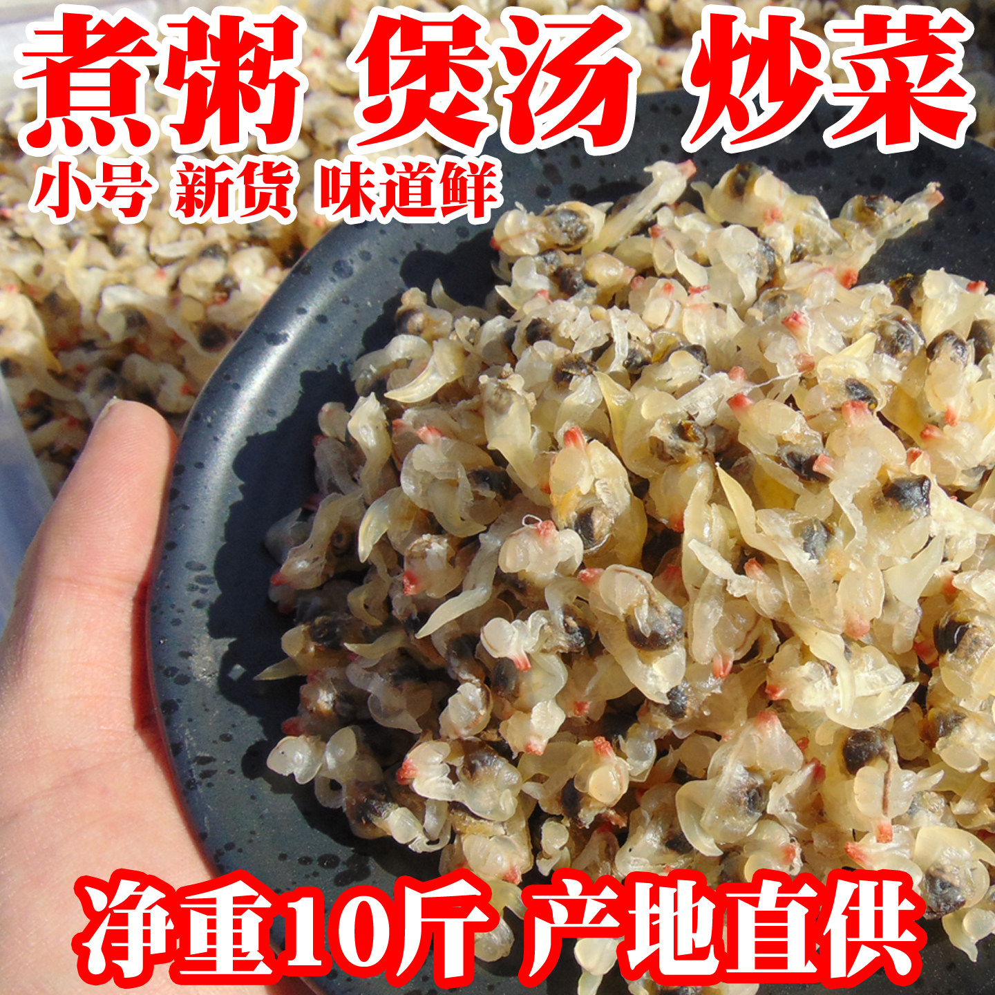 10斤/箱蛤蜊干小号花甲蚬子干煲粥汤商用海鲜干货新鲜净重散装