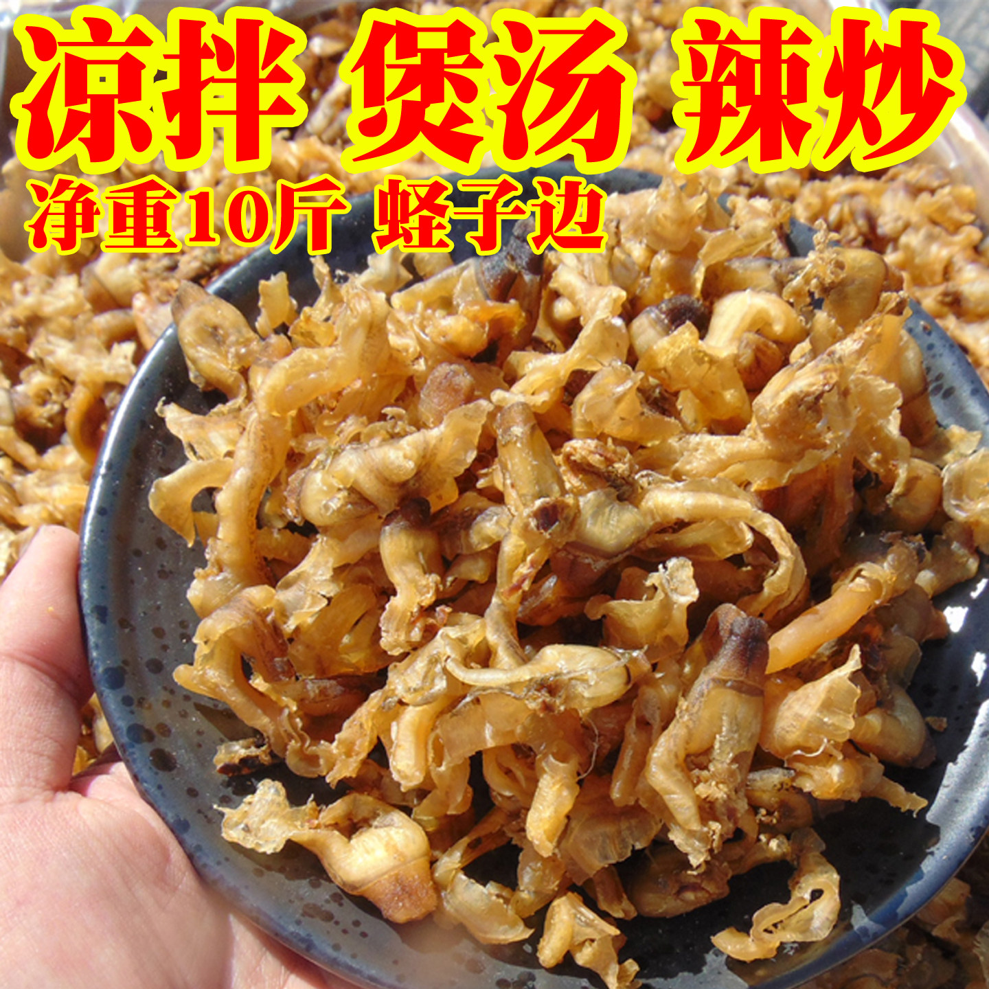 净重10斤蛏子边鲍鱼边扇贝边凉拌辣炒煲粥汤商用海鲜干货粥铺