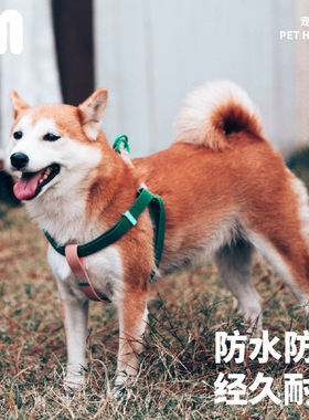 UNMIXED活力对撞胸背带狗狗牵引可调节防水易清洗外出雪纳瑞泰迪