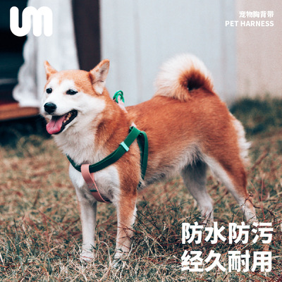 撞色胸背中大型犬耐脏夏季穿戴