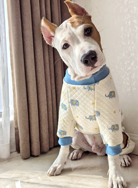 婴儿棉秋冬四脚小中大型犬衣服宠物衣服斯塔福牛头梗拉布拉多边牧