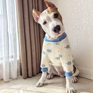 婴儿棉秋冬四脚小中大型犬衣服宠物衣服斯塔福牛头梗拉布拉多边牧