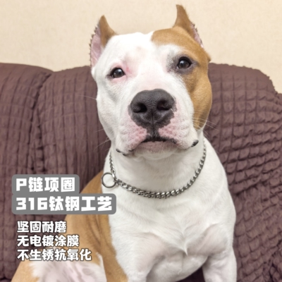 316钛钢镜面六面磨防爆冲训犬P链中大型犬狗链子牵引绳不锈钢项圈