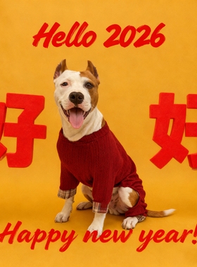 福到四脚护肘服宠物衣服居家四脚服中大狗衣服牛头梗斯塔福恶霸