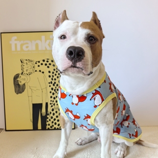卡通印花宠物狗狗服舒适小中大型犬衣服背心高棉背心牛头梗斯塔福