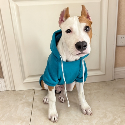 多色加绒连帽卫衣宠物小中大狗