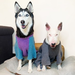 三色撞色羊羔绒保暖秋冬四脚衣服猫狗宠物卫衣牛头梗拉布拉多法斗