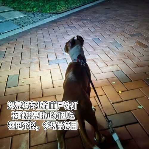 夜市摆摊防乱吃神器LED大功率