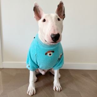 糯叽叽雪妮绒秋冬卫衣中大型犬宠物卫衣牛头梗拉布拉多法斗哈士齐