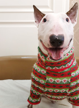 圣诞两色宠物服饰猫狗衣服大小犬宠物秋冬针织毛衣牛头梗法斗恶霸