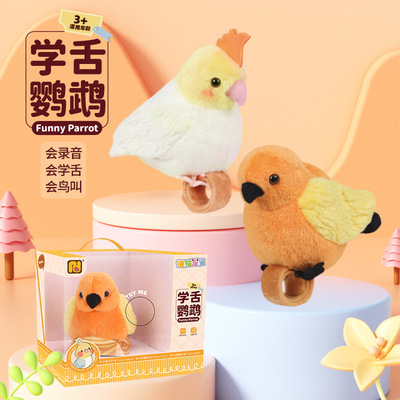 学说话的鹦鹉手环佩戴录音学舌