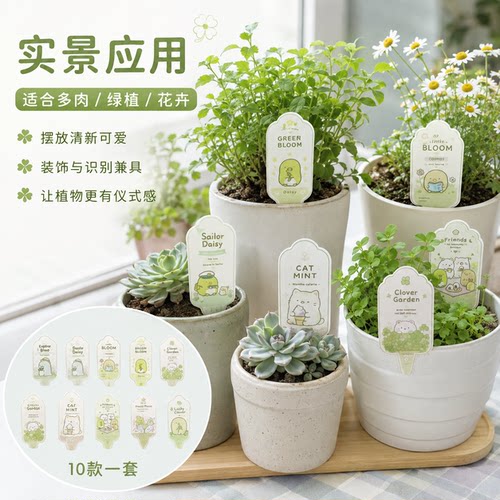 可定制潮流植物个性花牌