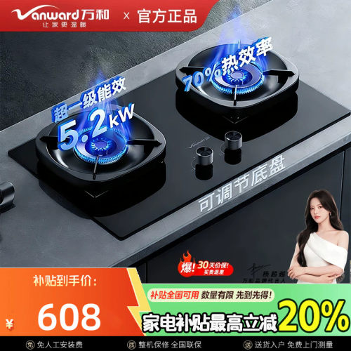 万和超省星G6L50天然气燃气灶5.2kW猛火70%热效率嵌入式煤气炉具