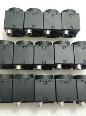 Piont grey 灰点 BFLY-PGE-12A2M-C.询价