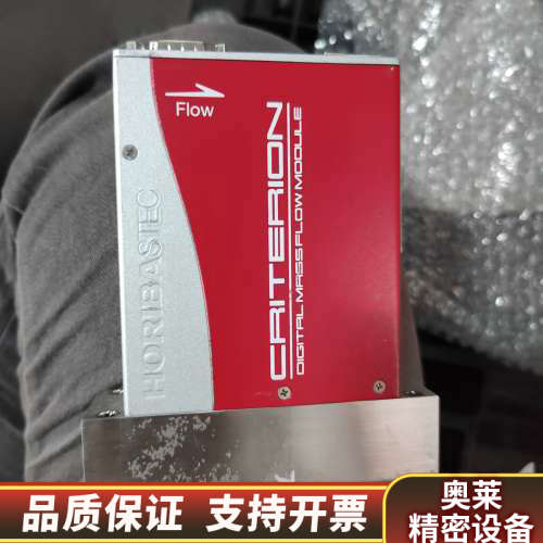HORIBA D519J流量计 制造 10SCCM.询价