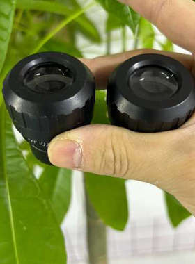 莱卡屈光可调目镜，LElCA莱卡目镜，莱卡显微镜目镜，全.询价