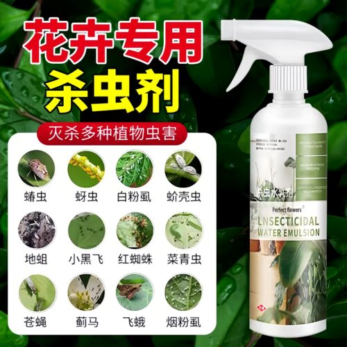 杀虫剂花卉植物室内花吡虫啉
