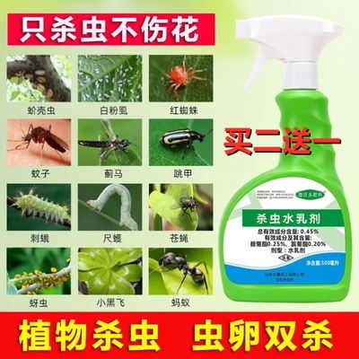 月季花卉绿植驱虫发财树