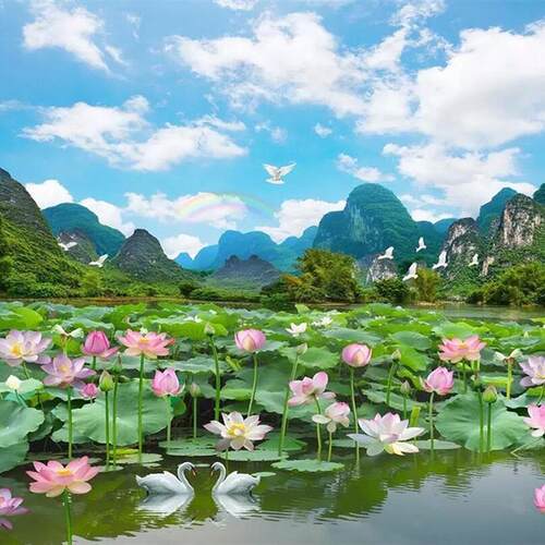 电视背景墙壁纸5D立体荷花草原山水风景画8D装饰快手直播壁画墙纸