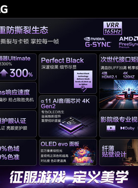 LG OLED65G5PCA 65英寸165Hz高刷游戏壁纸电视