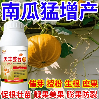 南瓜猛增产保花保果催芽增产增收爆芽生长调节叶面肥果树蔬菜花卉