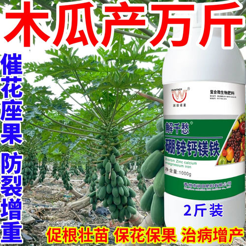 木瓜产万斤钙镁硼锌铁绿叶靓果膨果多果美果提质丰产促花促果作物
