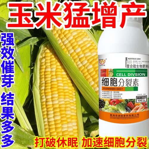 玉米猛增产进口植物营养液催芽促芽生长激素促生长保花保果叶面肥