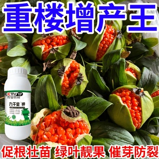 重楼增产王九千金钾保花保果产万斤催花爆芽壮苗绿叶生根叶面肥料