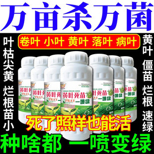 万亩杀万菌苗急救烂根一喷绿黄叶枯叶死苗烂叶喷活抗病抗逆叶面肥