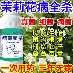 茉莉花病全杀菌抑菌病菌壹号生根绿叶生物防治果树蔬菜花卉杀菌剂